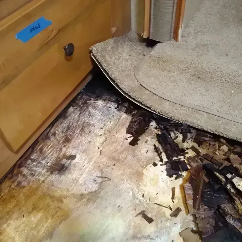 Wood Floor Water Damage in Brookfield, IL